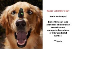 life's transitions are supported in many great ways!