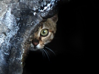 Fear makes me nauseous! Three tips to make me feel better.