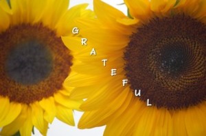be grateful for sunflowers ...