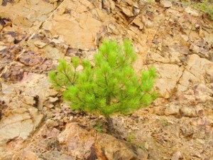 break down leads to a breakthrough