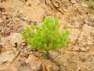 Even Strong Women Break Down