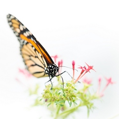 Women: Do you put yourself last?