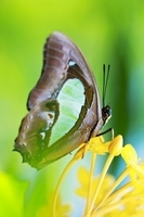 Change and Coping with it