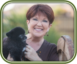 Divorce recovery coach