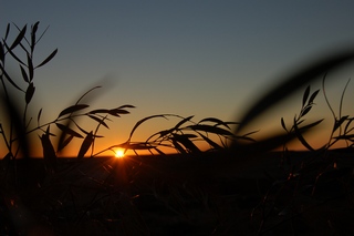 Inspired Inspiration