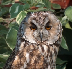 Your Inner Wisdom: Harness its Power to Build Confidence and Resilience