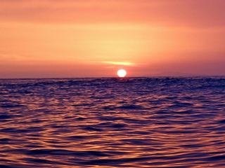 Overwhelmed?  Find your sweet calm.