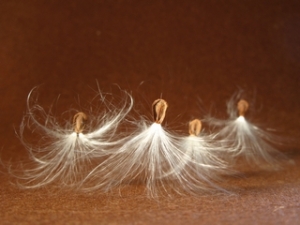 change requires a delicate dance