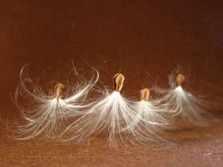 Change — With Calming Inspiration