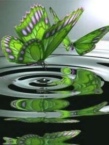 stress relief - butterflies &water