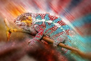 It's not always easy to adapt to change, like a chameleon.