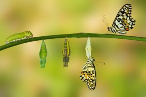Choose your own transformation when you're ready to move forward from sudden life changes.