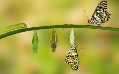 How You Can Choose Your Own Transformation In The Face Of Major Life Change